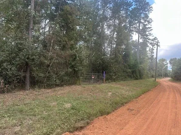 1 Salem Church Rd, Willis, TX 77378