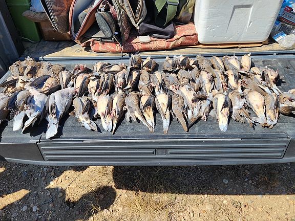 5th image of LOT 11 Summerhill Rd