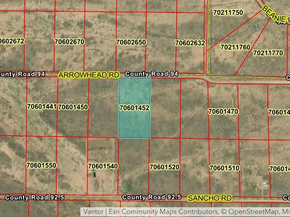 LOT 6 Arrowhead Road LOT 6, Fort Garland, CO 81133