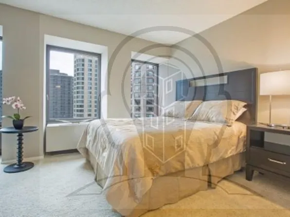 (undisclosed Address), Chicago, IL 60611