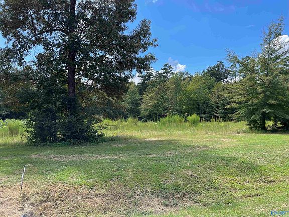 3rd image of 221 Rockhaven Dr