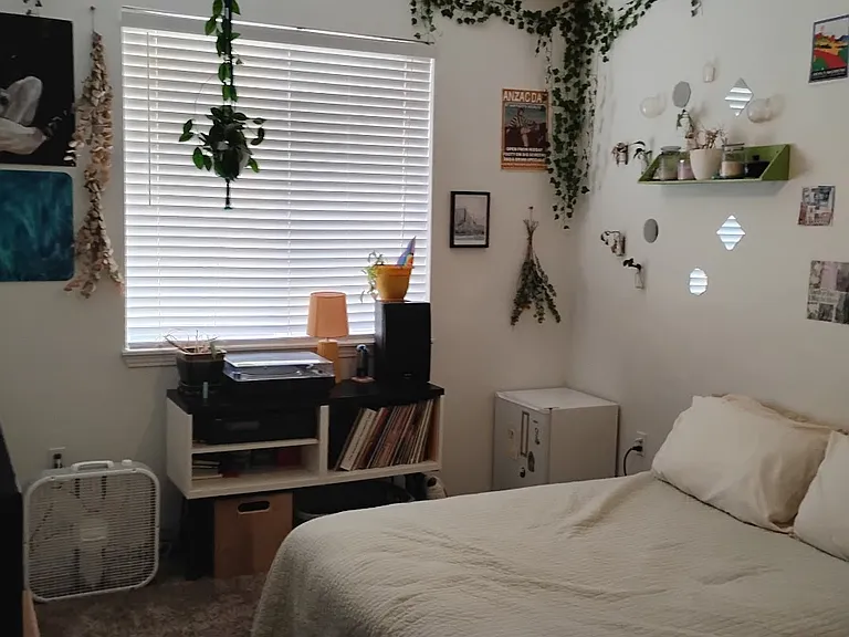 3002 W Elizabeth St #6B — Photo 14