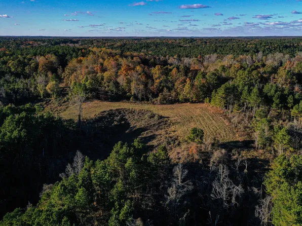 County Road 180, Guntown, MS 38849