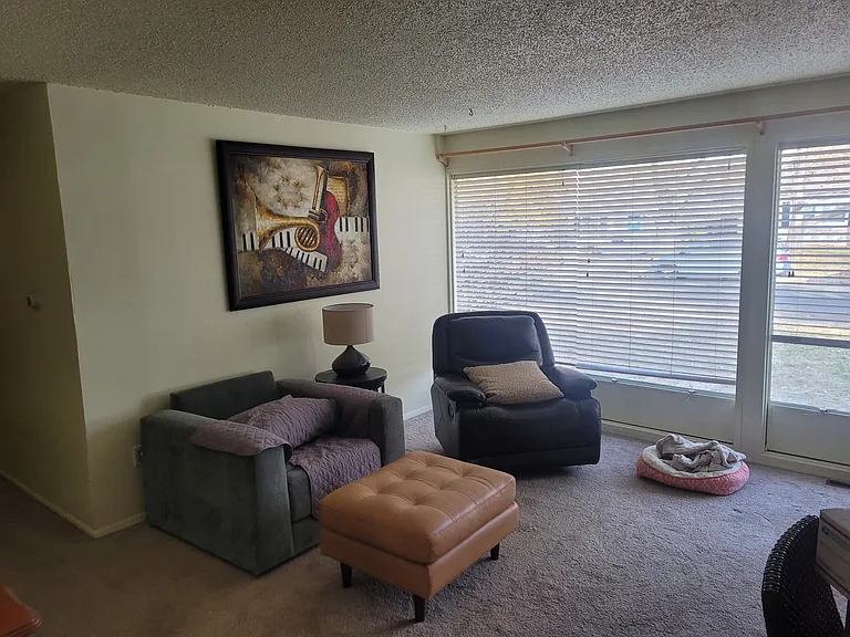 1295 S Forest St — Photo 15