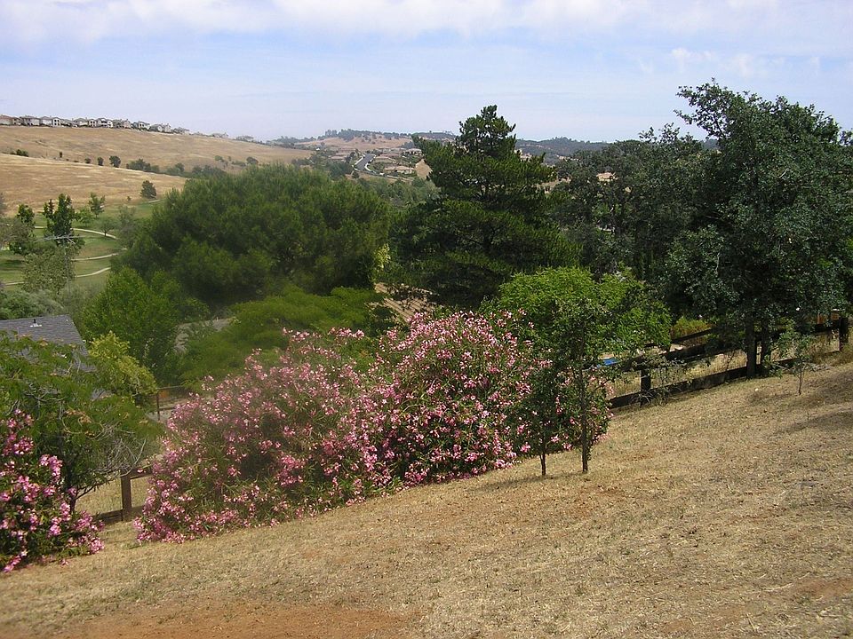 Magnificent View