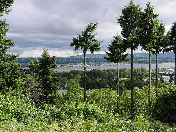 View of the Columbia River and Portland from the back yard.
