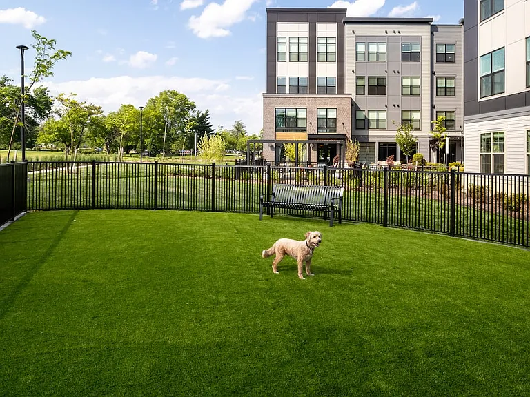 WAG pet park