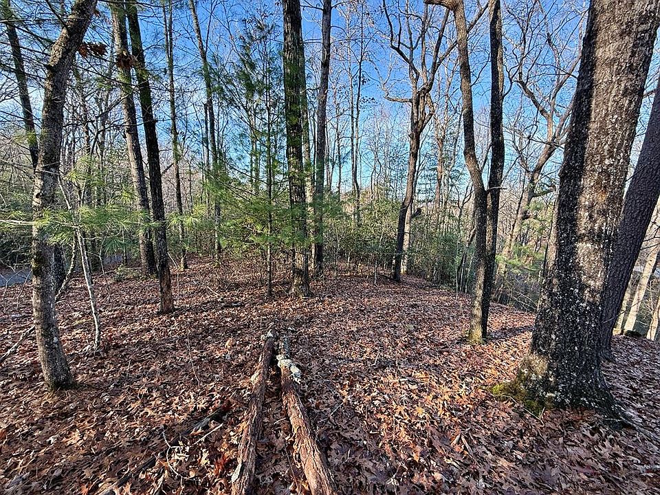 1st image of LOT 42 Panico Trl