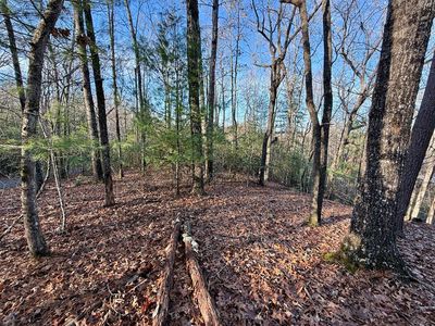 LOT 42 Panico Trl, Murphy, NC, 28906
