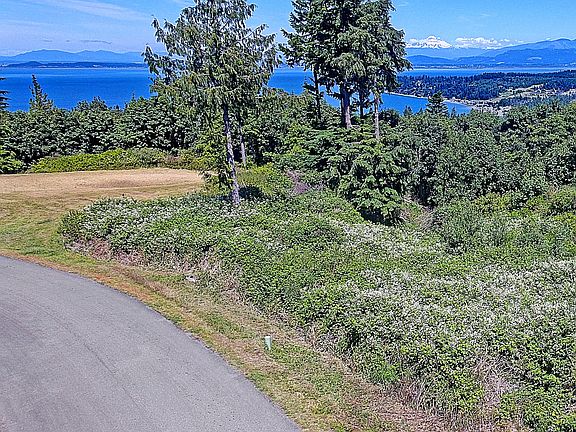 You sit upfront with unobstructed views. All the other homes behind you are envious. (To left of this green pole is your property line) This runs over and past the mowed area.