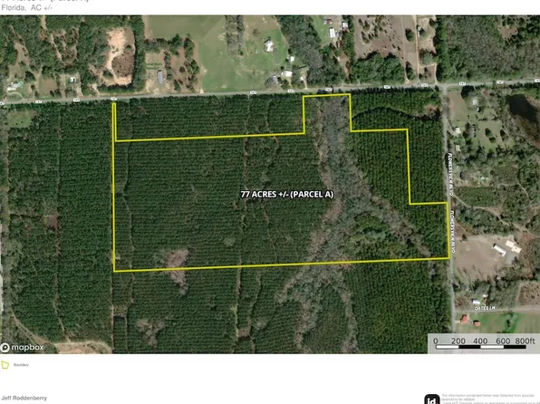 County Highway 147 Lot Wp001, Laurel Hill, FL 32567