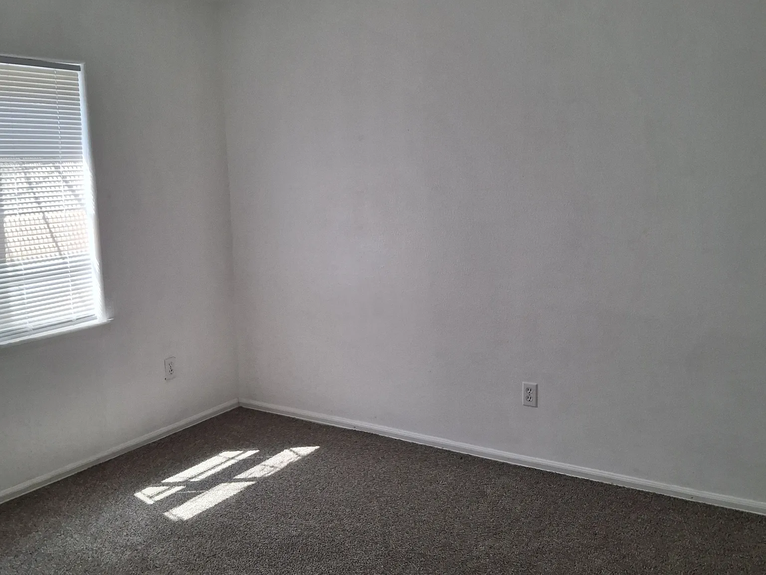 908 S Harmony Dr — Photo 4