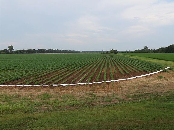 2nd image of 746 County Road 629
