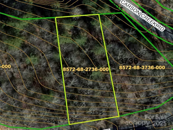 999 Dvdegi Ct, Brevard, NC 28712