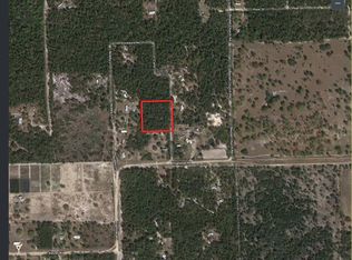 107 Craymer Ln, Welaka, FL 32193