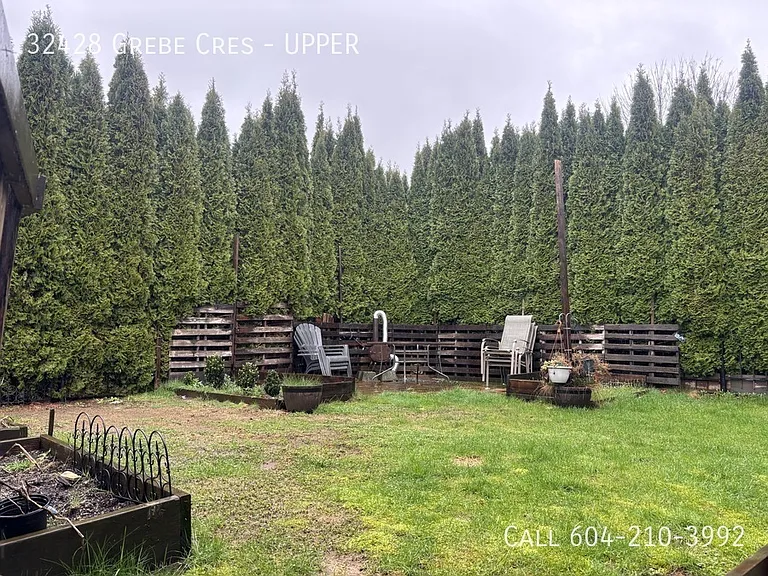 32428 Grebe Cres #UPPER — Photo 15