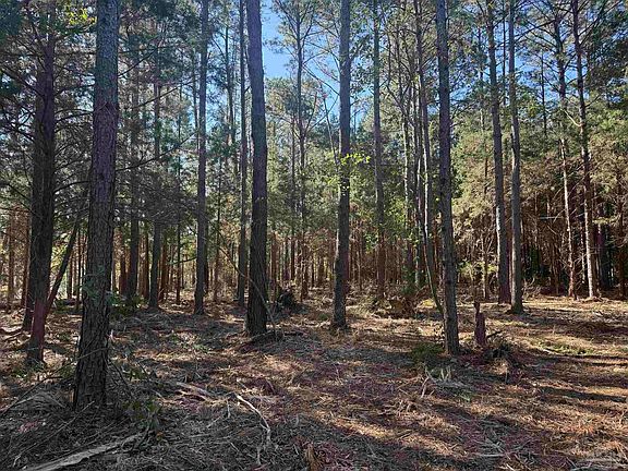 4th image of LOT 9 Rockaway Creek Rd