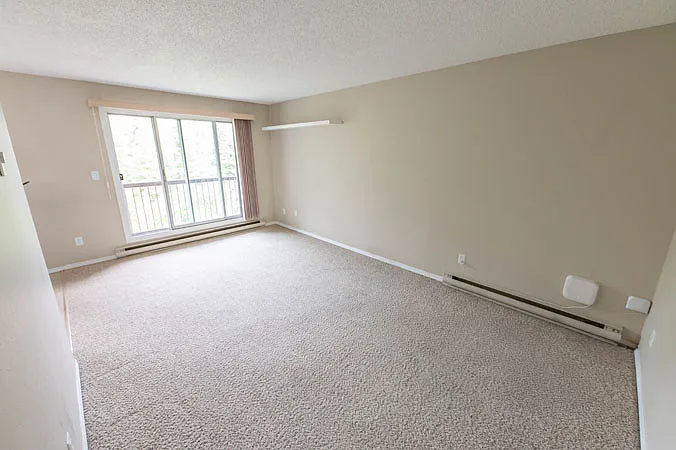 Paradise Park Apartments — Photo 4