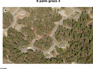 8 Palm Grass Ct, Homosassa, FL 34446