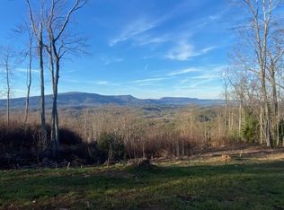 1 Chestnut Mountain Rd, Reliance, TN 37369