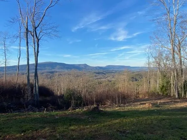 1 Chestnut Mountain Rd, Reliance, TN 37369