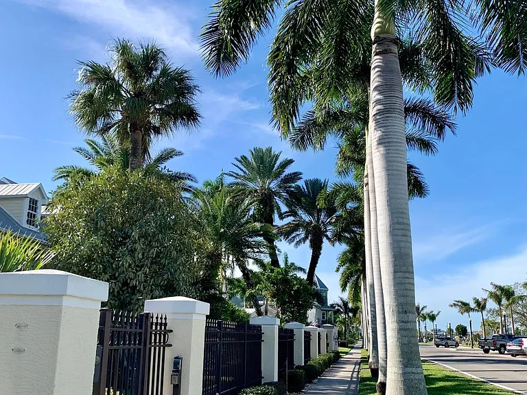 Tree-lined drive in the residential historic section of Punta Gorda, a ten minute drive away.