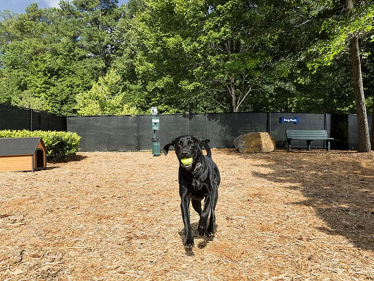 Camden Peachtree City — Photo 23