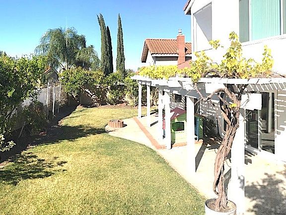 Private back yard with mature fruit trees