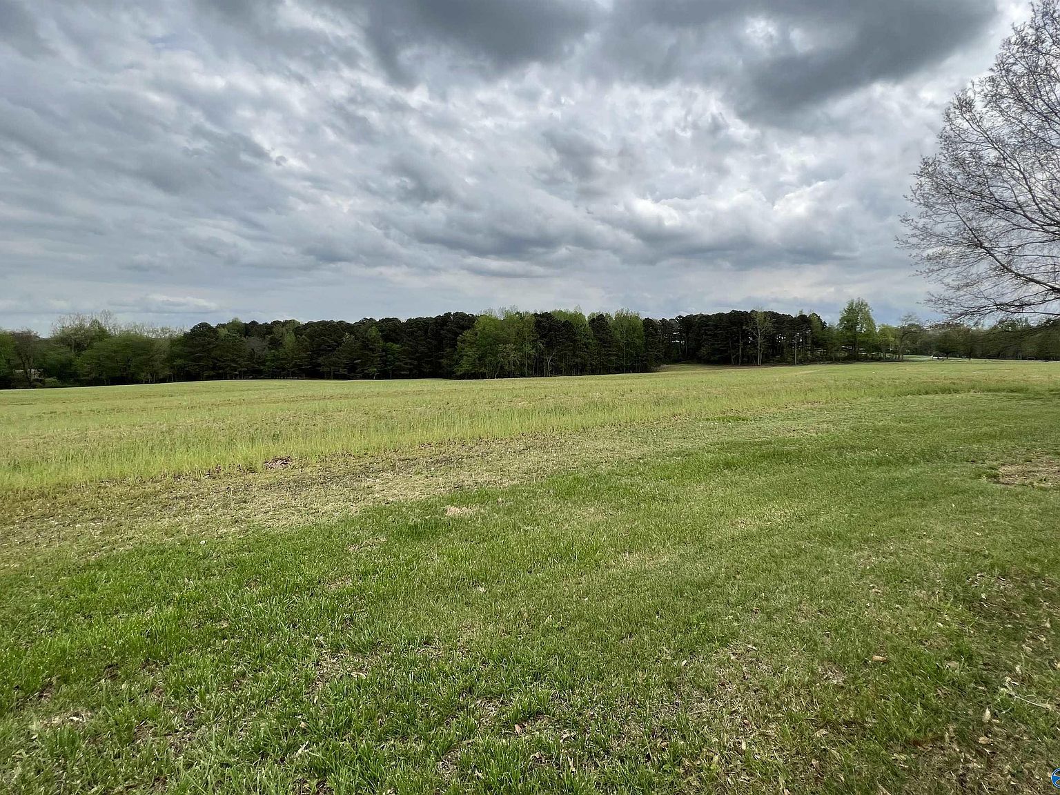 County Road 855, Collinsville, AL 35961 MLS 1833720 Zillow