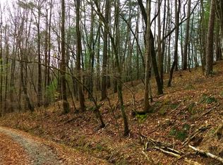 Ellis Ford Rd, Blue Ridge, GA 30513