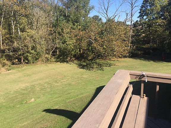 Backyard creek/woods