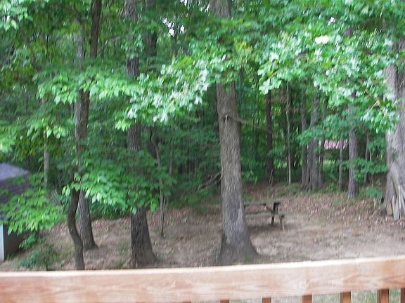 Hardwoods, private backyard