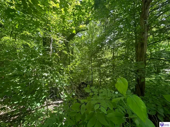 410 Woodhaven Dr, Leitchfield, KY 42754