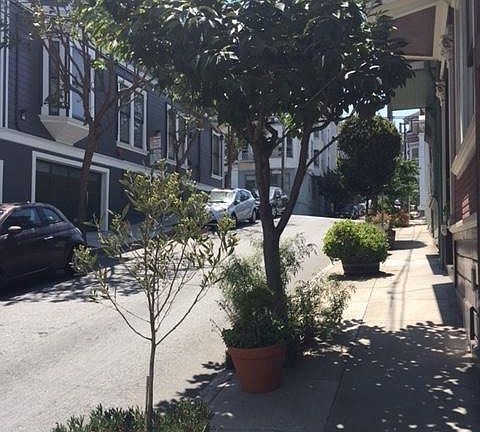 2nd image of 374 Lily St
