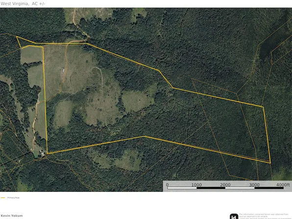 1 Seneca Trl, Valley Head, WV 26294