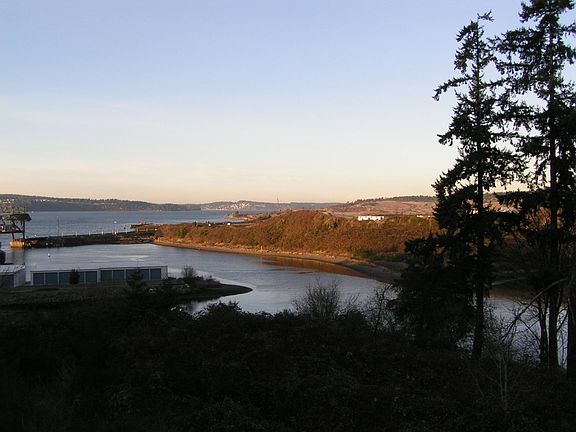 5th image of 2808 Chambers Bay Dr