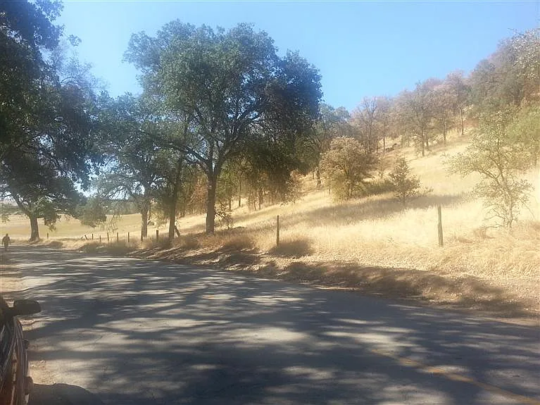36401 Sand Creek Rd photo 1
