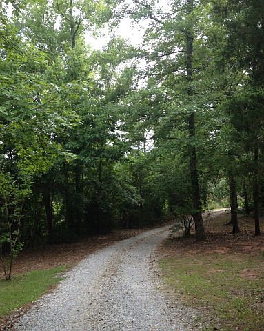 Driveway View 1