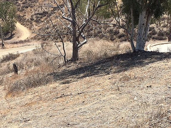 3rd image of 1234 Sunnyslope Ave