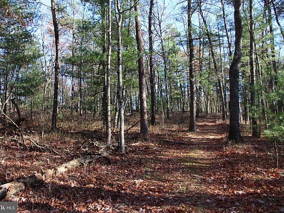 3rd image of Rolly Rd