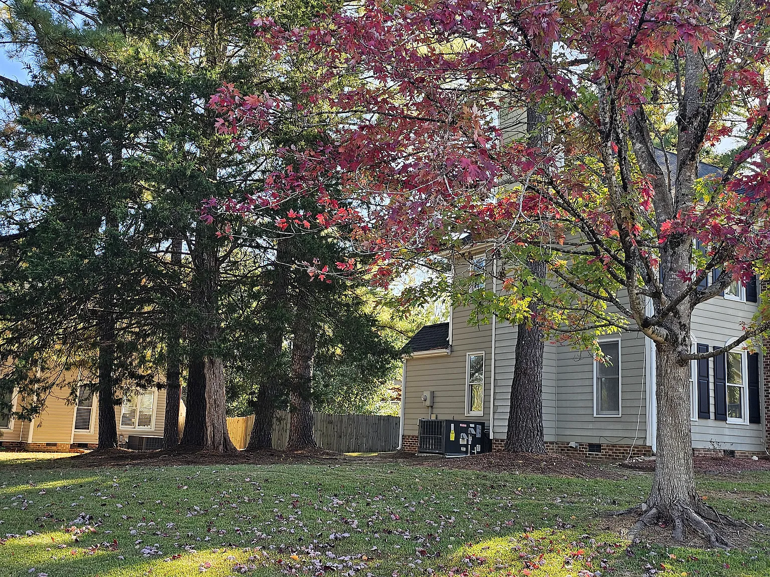 5408 Brookshadow Dr — Photo 4