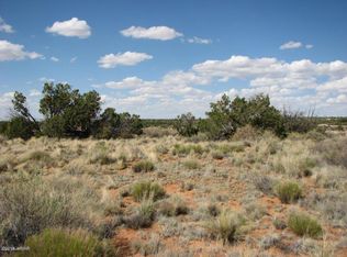 LOT 279 Chevelon Canyon Rnch LOT 279, Overgaard, AZ 85933