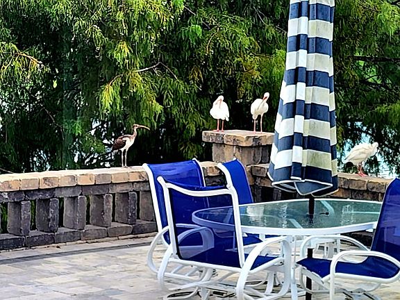 5th image of 10174 Lake Miona Way #10174