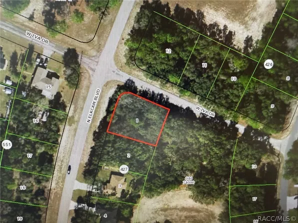 3010 W Iva Dr, Citrus Springs, FL 34434