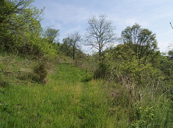 2nd image of Eagle Mountain Rd