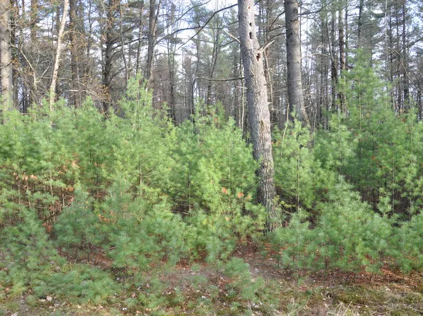 W8687 Blue Bird Dr, Merrillan, WI 54754