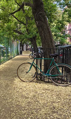 Rented by Sky Management | media 58