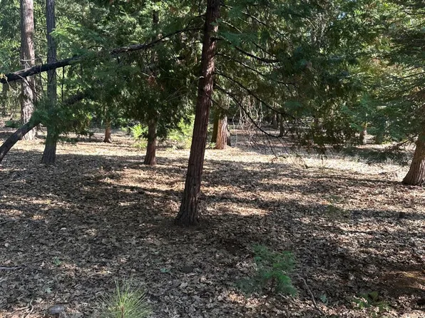 5667 Maywood Dr, Foresthill, CA 95631