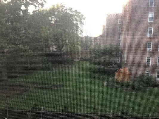 Rented by 18 REALTY | media 50