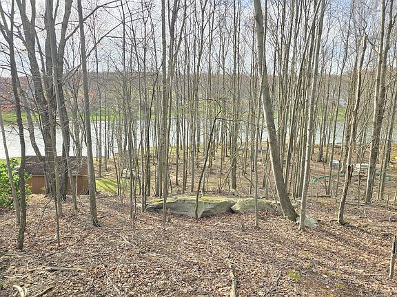 5th image of Treasure Lake Rd Lot 751